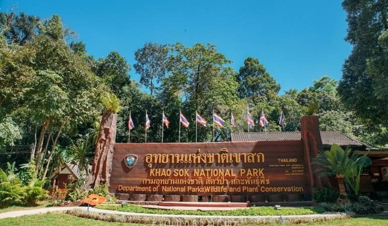 Illustration Bonjour Thaïlande