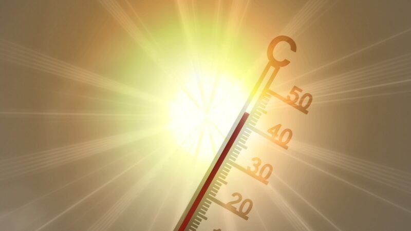 Réchauffement climatique