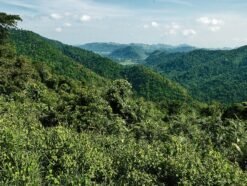 Paysage en Thaïlande