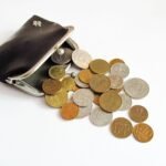 Monnaie russe ruble