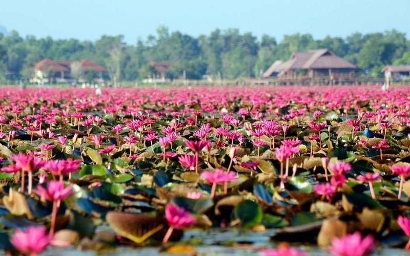 Phatthalung Thaïlande