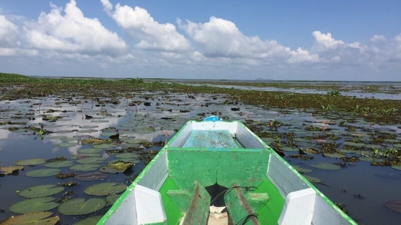 Thale Noi parc ornithologique