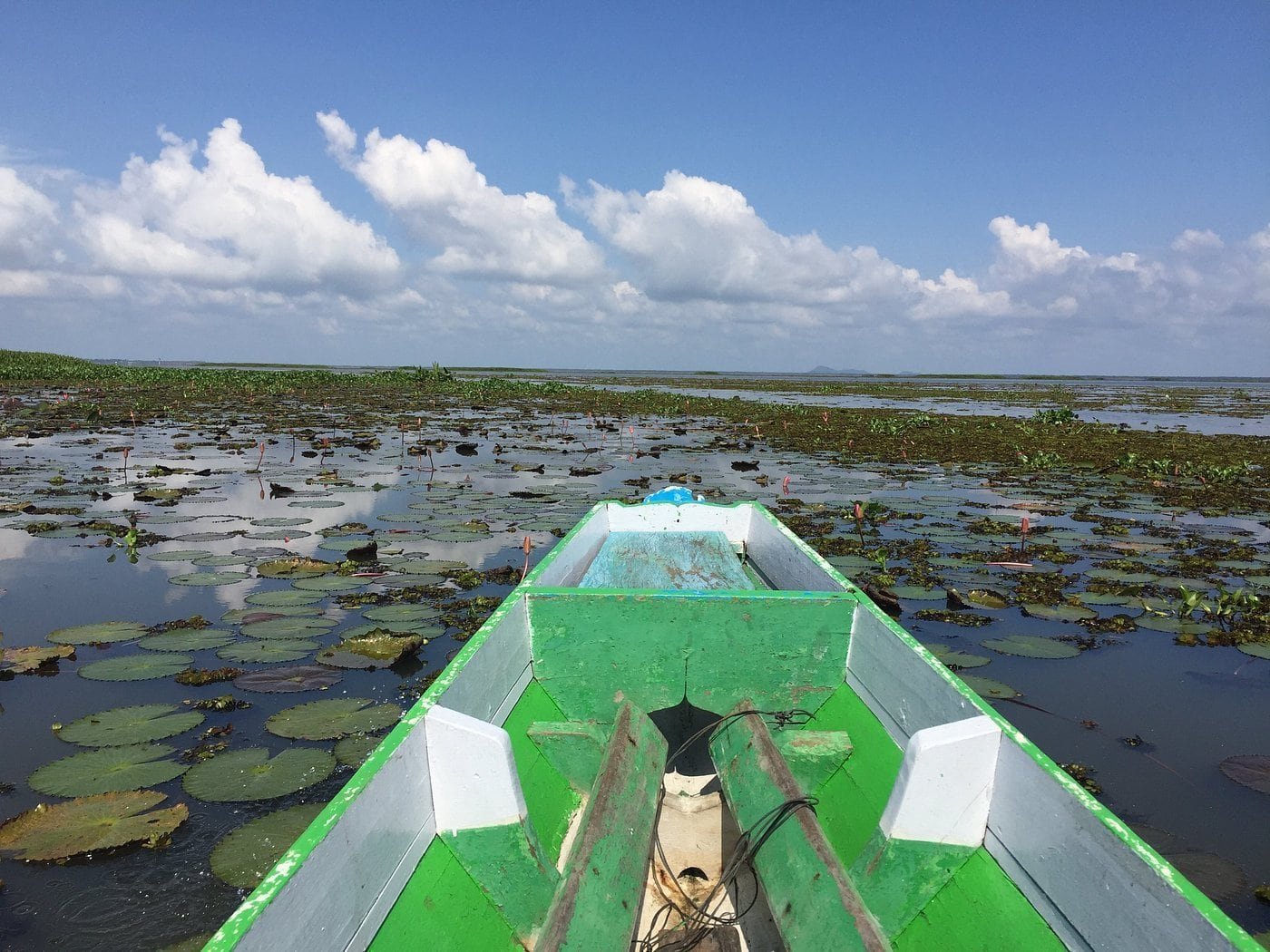 Thale Noi parc ornithologique