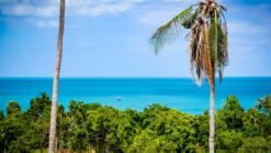 Koh Samui