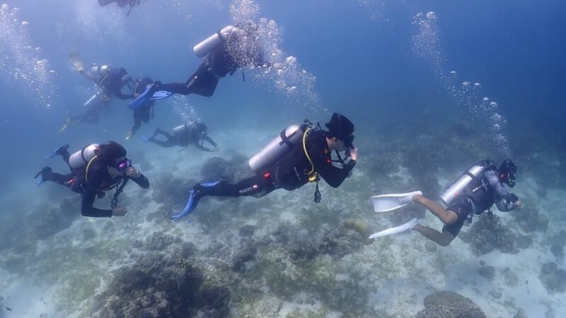 Plongée sous-marine Thaïlande