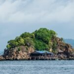 Île tropicale avec végétation luxuriante et cabane en bord de mer en Thaïlande.