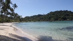 Plage de sable blanc avec palmiers et eau turquoise à Koh Kood en Thaïlande.