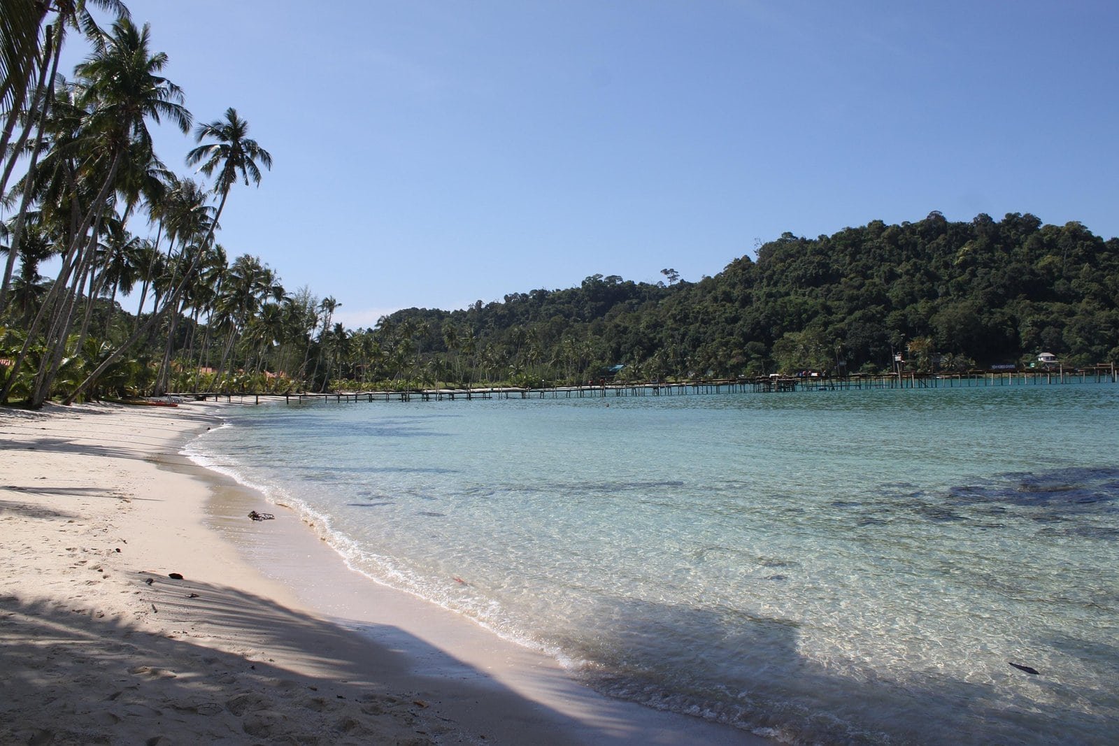 Plage de sable blanc avec palmiers et eau turquoise à Koh Kood en Thaïlande.
