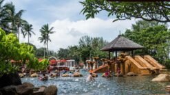 Piscine naturelle entourée de végétation luxuriante à Phuket, Thaïlande.